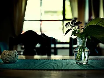 Otel Havila Raftevold Hornindal